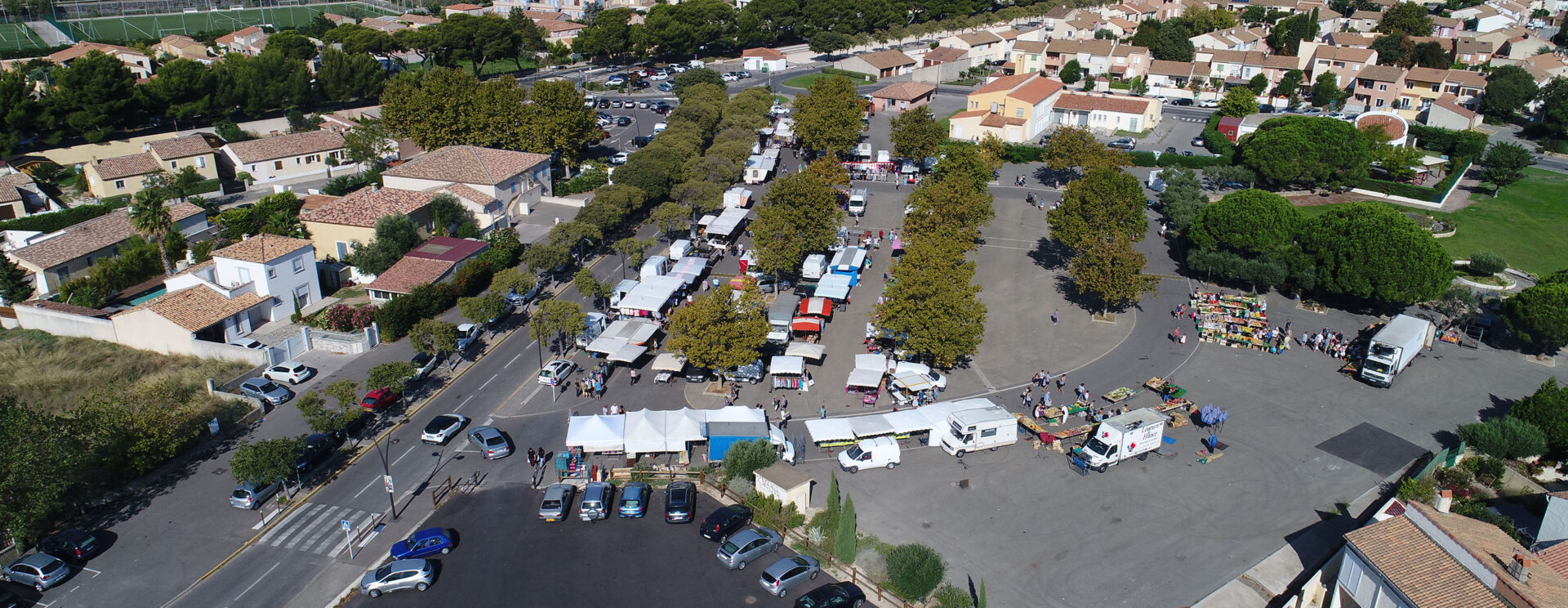 Zone d’Aménagement Concerté (ZAC) Zone Industrialo Portuaire (ZIP